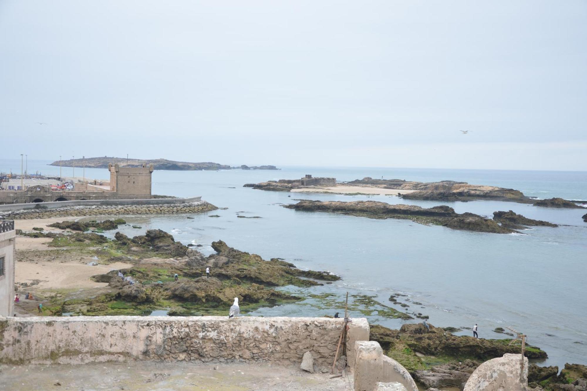 Hotel Dar Loulema Essaouira Exterior foto