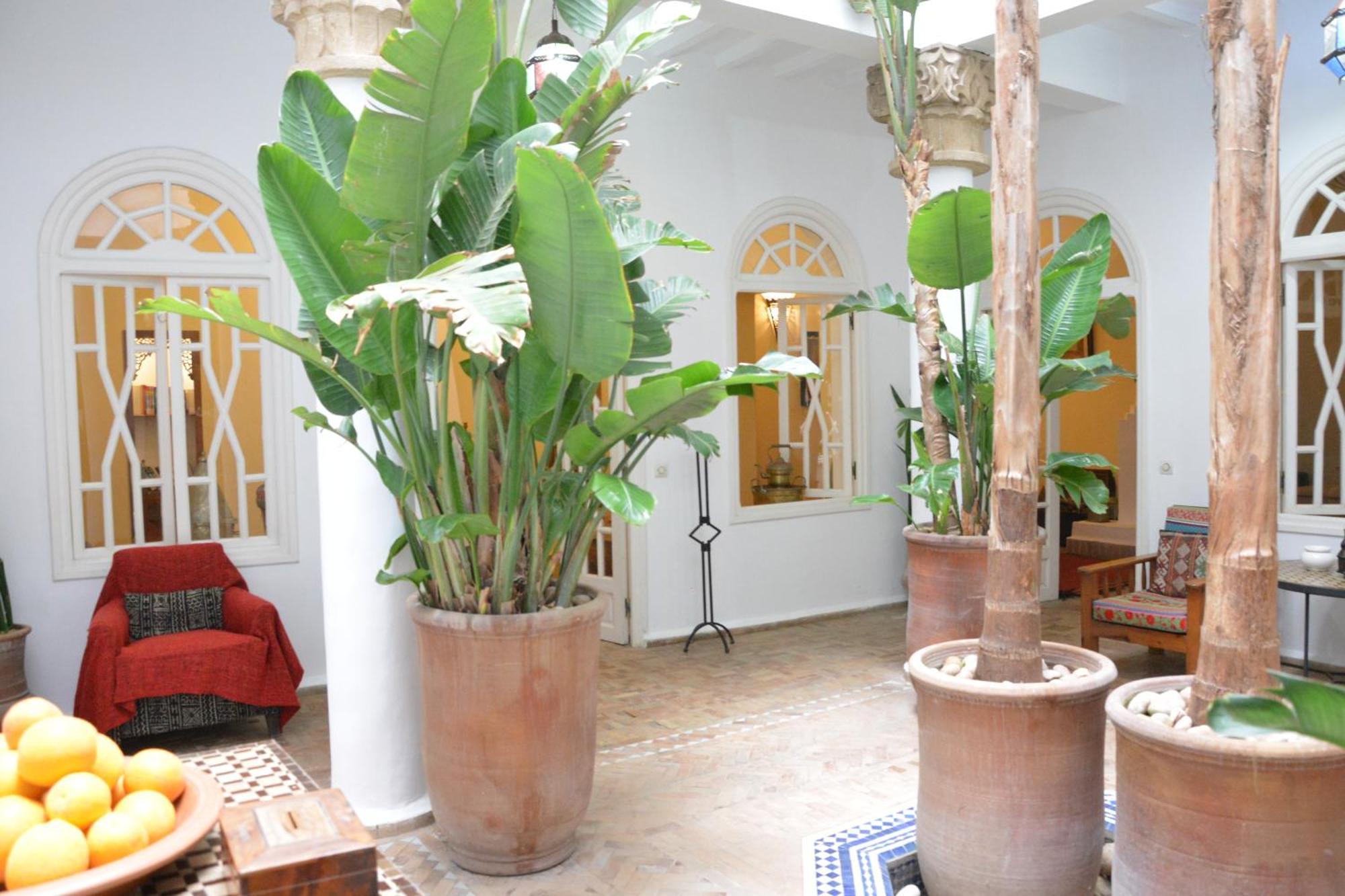 Hotel Dar Loulema Essaouira Exterior foto